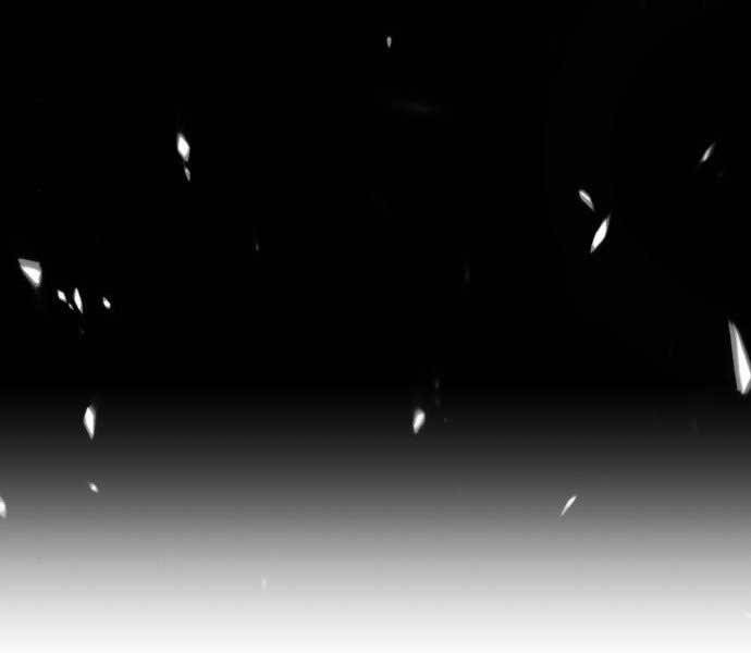 Gậy Gỗ Cấp 99+ Chapter 15.5 - Trang 2