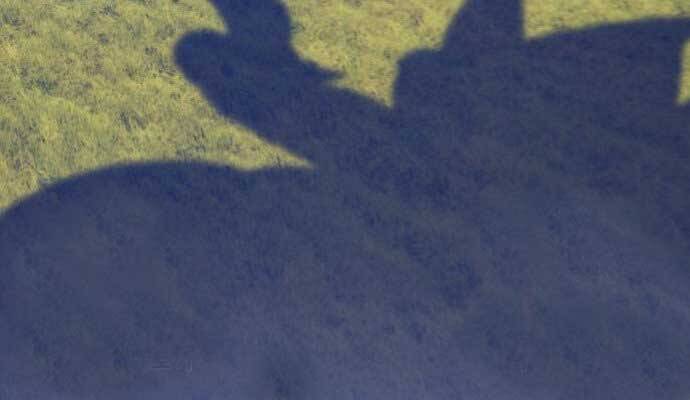 Gậy Gỗ Cấp 99+ Chapter 15.5 - Trang 2