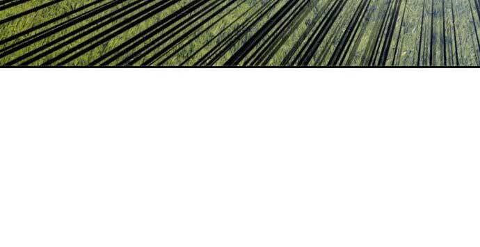 Gậy Gỗ Cấp 99+ Chapter 15.5 - Trang 2