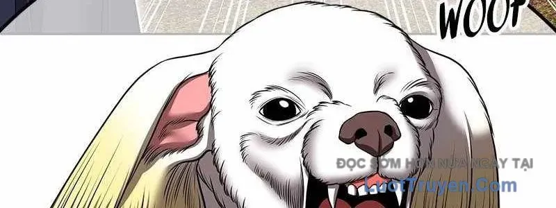 Gậy Gỗ Cấp 99+ Chapter 163 - Trang 2