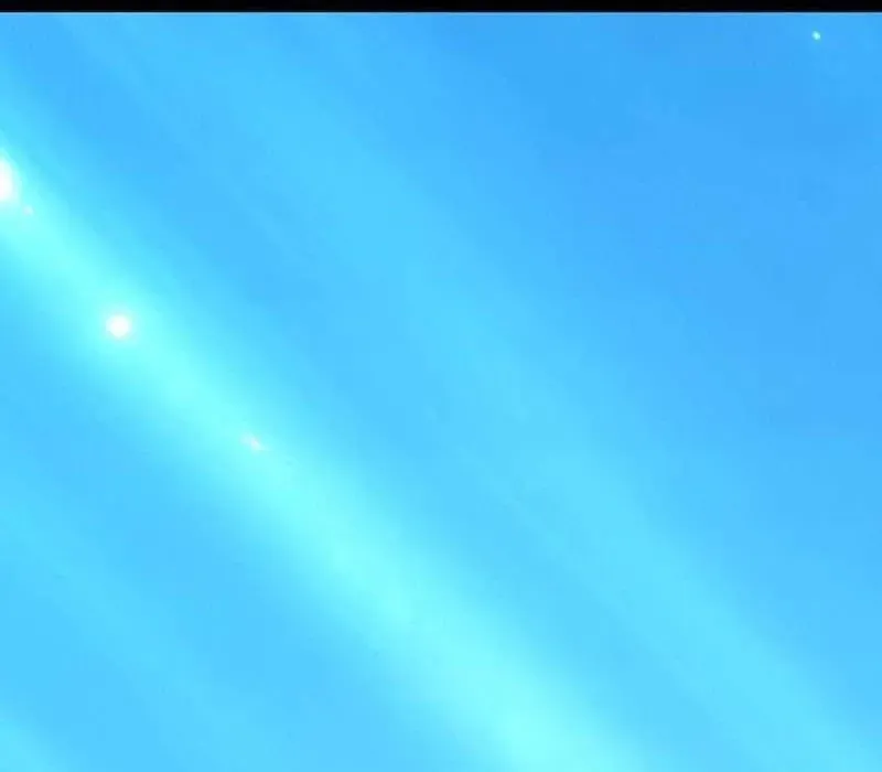 Gậy Gỗ Cấp 99+ Chapter 163 - Trang 2