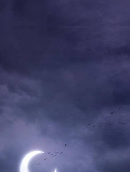 Gậy Gỗ Cấp 99+ Chapter 2.1 - Trang 2