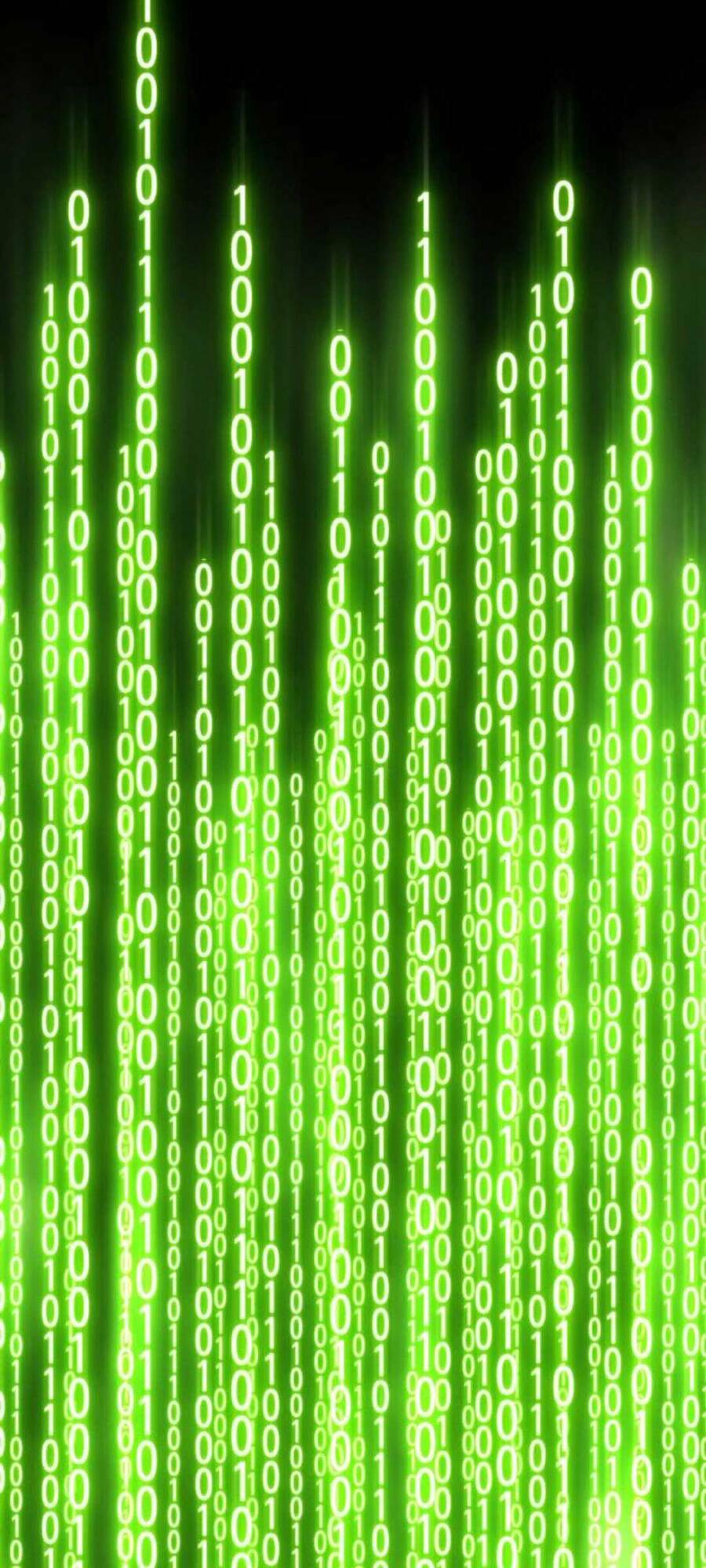 Gậy Gỗ Cấp 99+ Chapter 20.4 - Trang 2