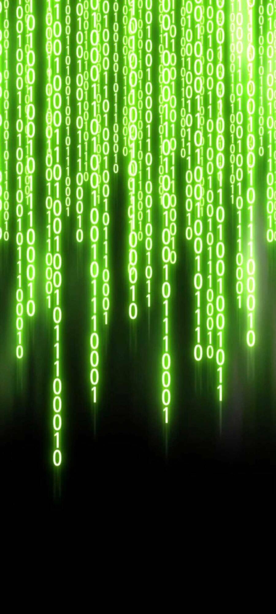 Gậy Gỗ Cấp 99+ Chapter 20.4 - Trang 2