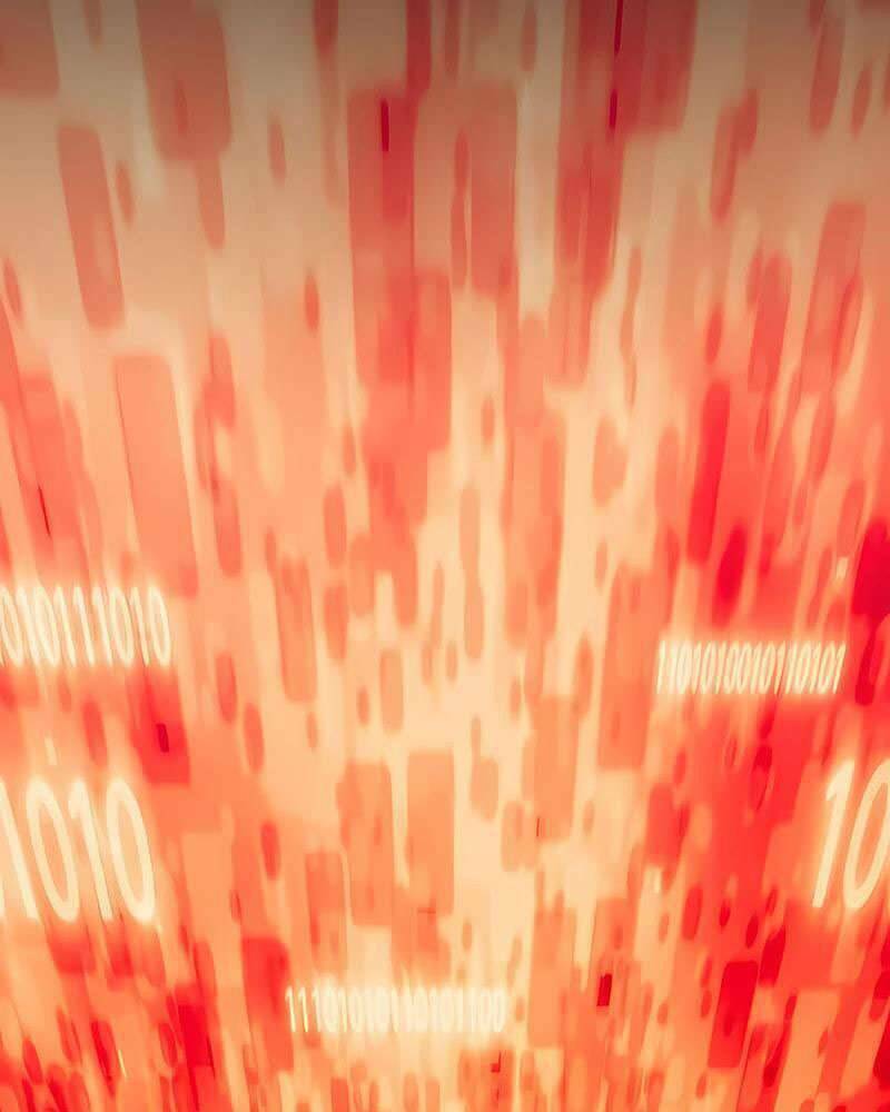 Gậy Gỗ Cấp 99+ Chapter 25.5 - Trang 2