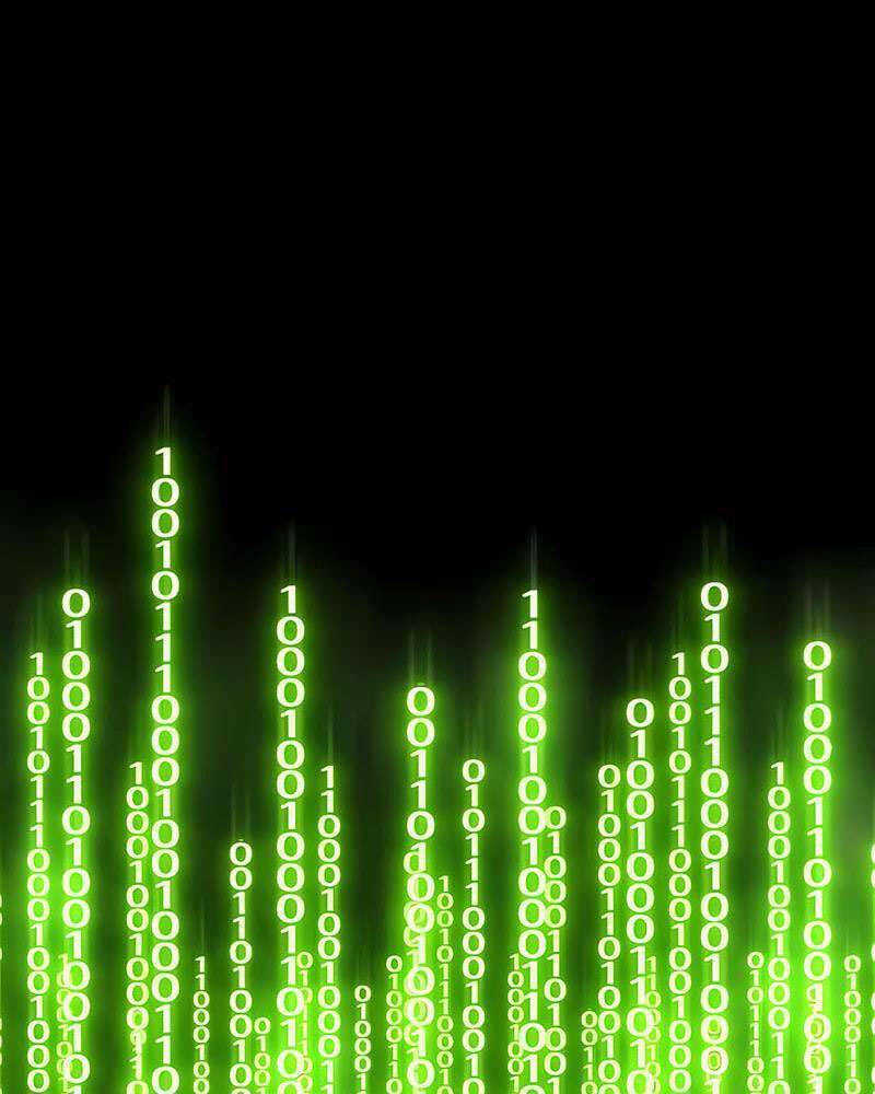 Gậy Gỗ Cấp 99+ Chapter 25.5 - Trang 2