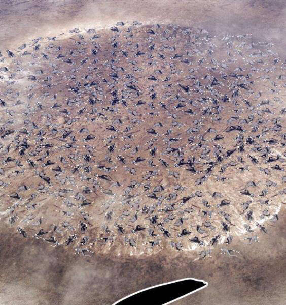 Gậy Gỗ Cấp 99+ Chapter 3.1 - Trang 2