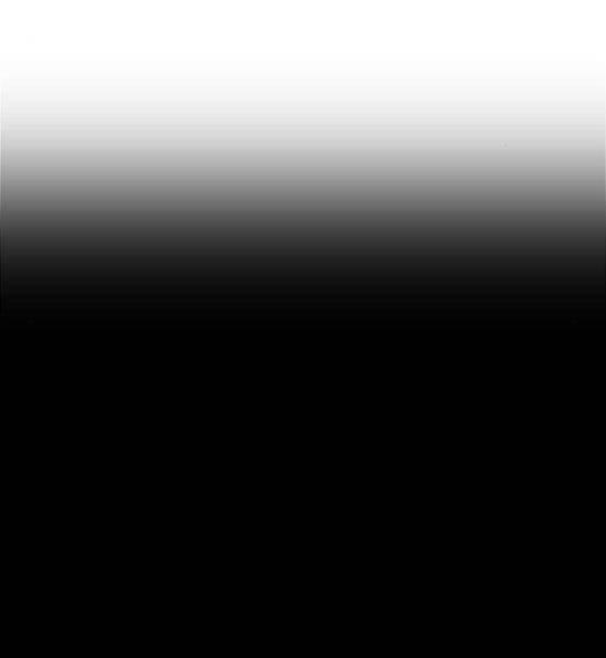 Gậy Gỗ Cấp 99+ Chapter 4.1 - Trang 2