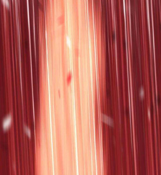 Gậy Gỗ Cấp 99+ Chapter 4.1 - Trang 2