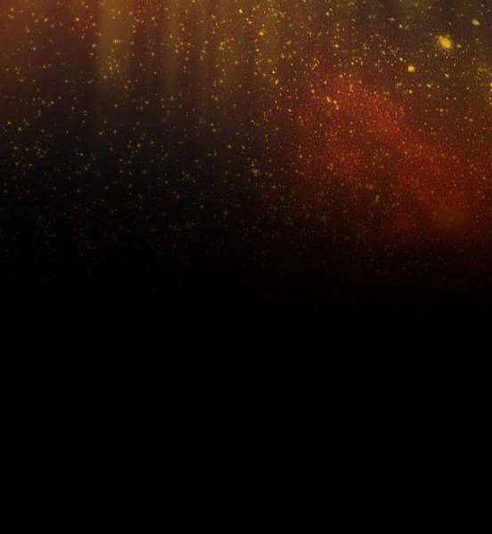 Gậy Gỗ Cấp 99+ Chapter 4.1 - Trang 2