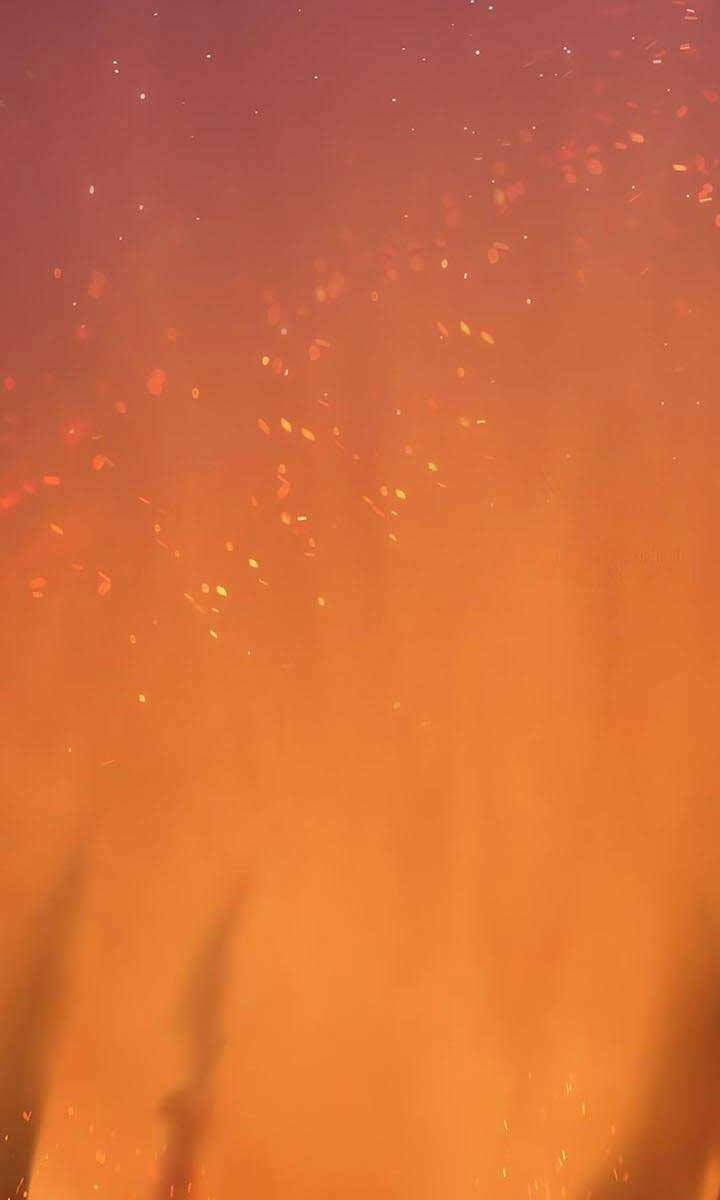 Gậy Gỗ Cấp 99+ Chapter 55 - Trang 2