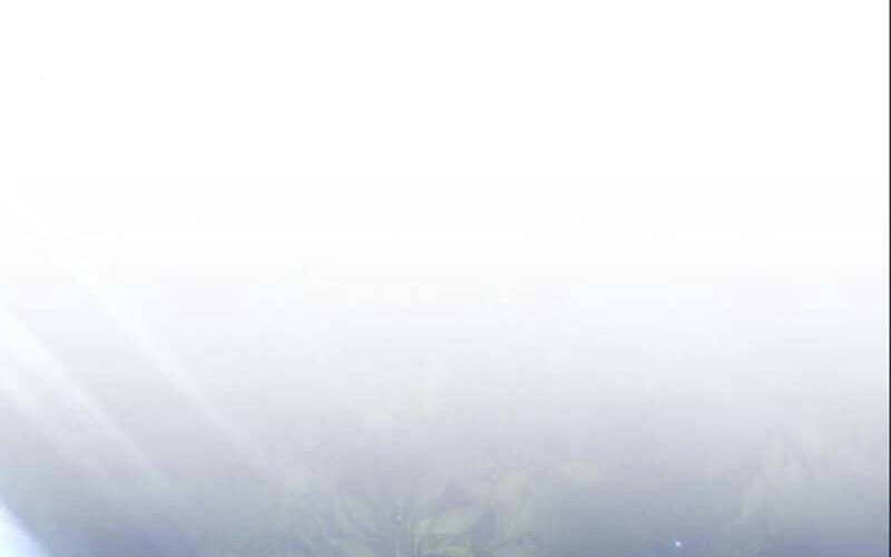 Gậy Gỗ Cấp 99+ Chapter 6.1 - Trang 2