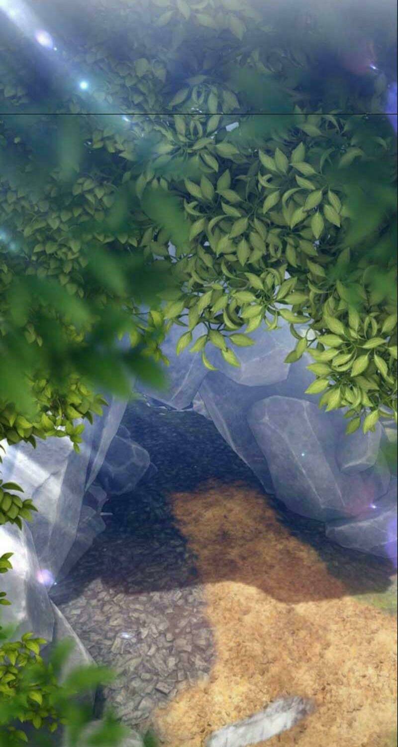 Gậy Gỗ Cấp 99+ Chapter 6 - Trang 2