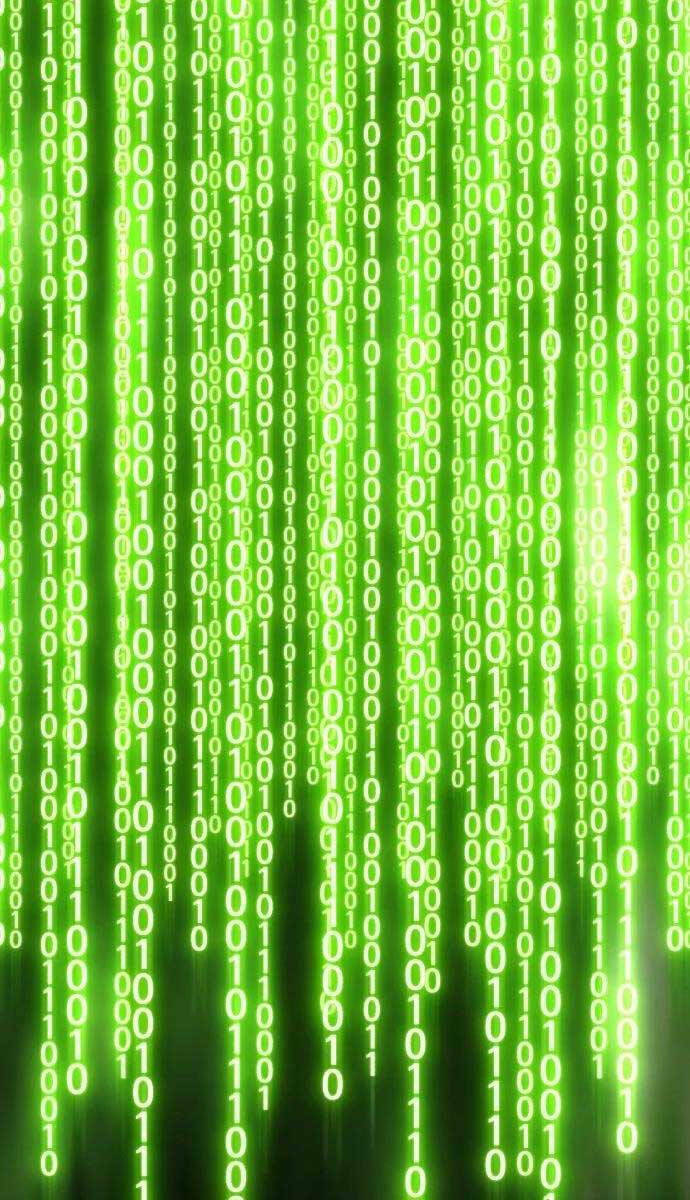 Gậy Gỗ Cấp 99+ Chapter 61 - Trang 2