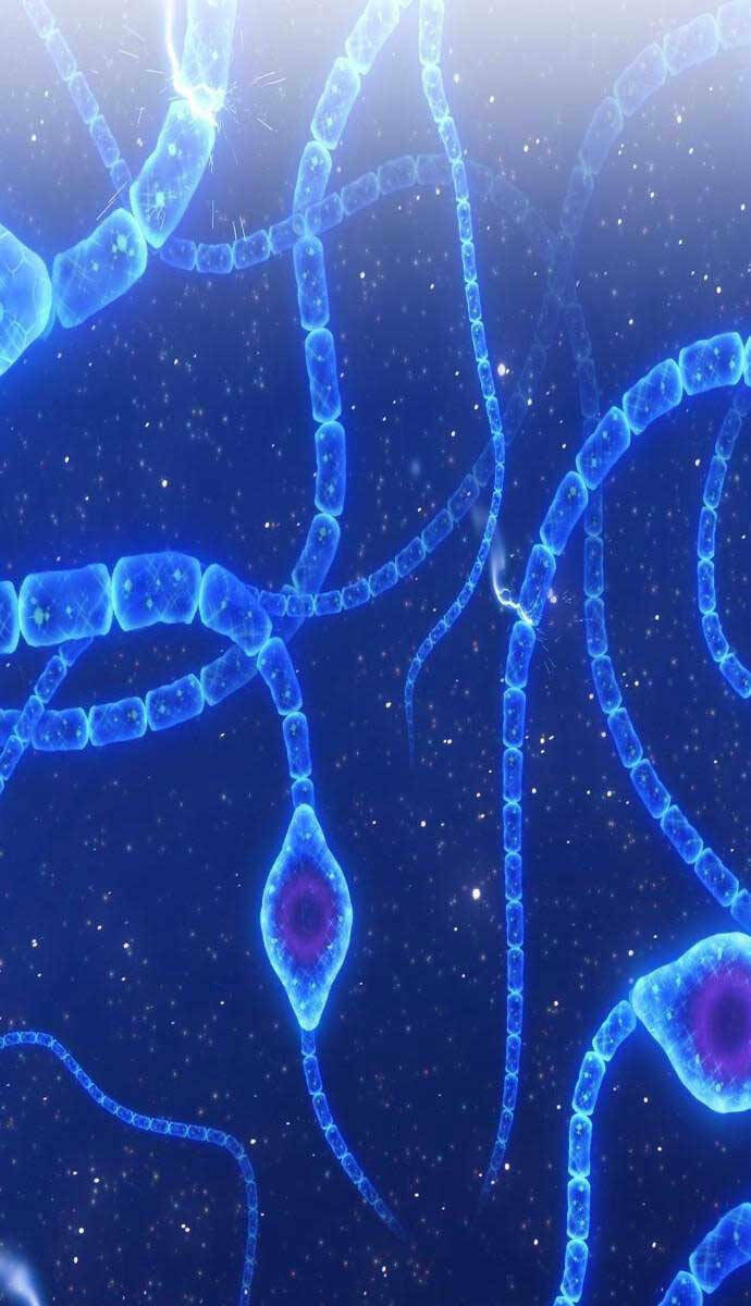 Gậy Gỗ Cấp 99+ Chapter 64.2 - Trang 2