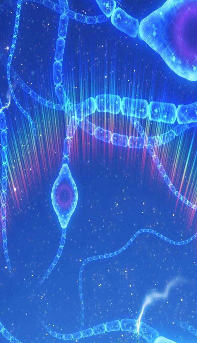 Gậy Gỗ Cấp 99+ Chapter 64.4 - Trang 2