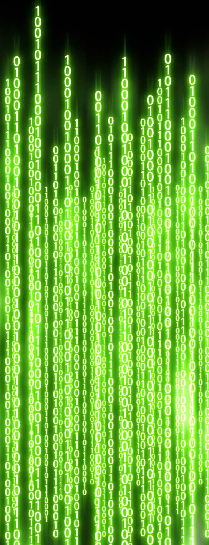 Gậy Gỗ Cấp 99+ Chapter 85.5 - Trang 2