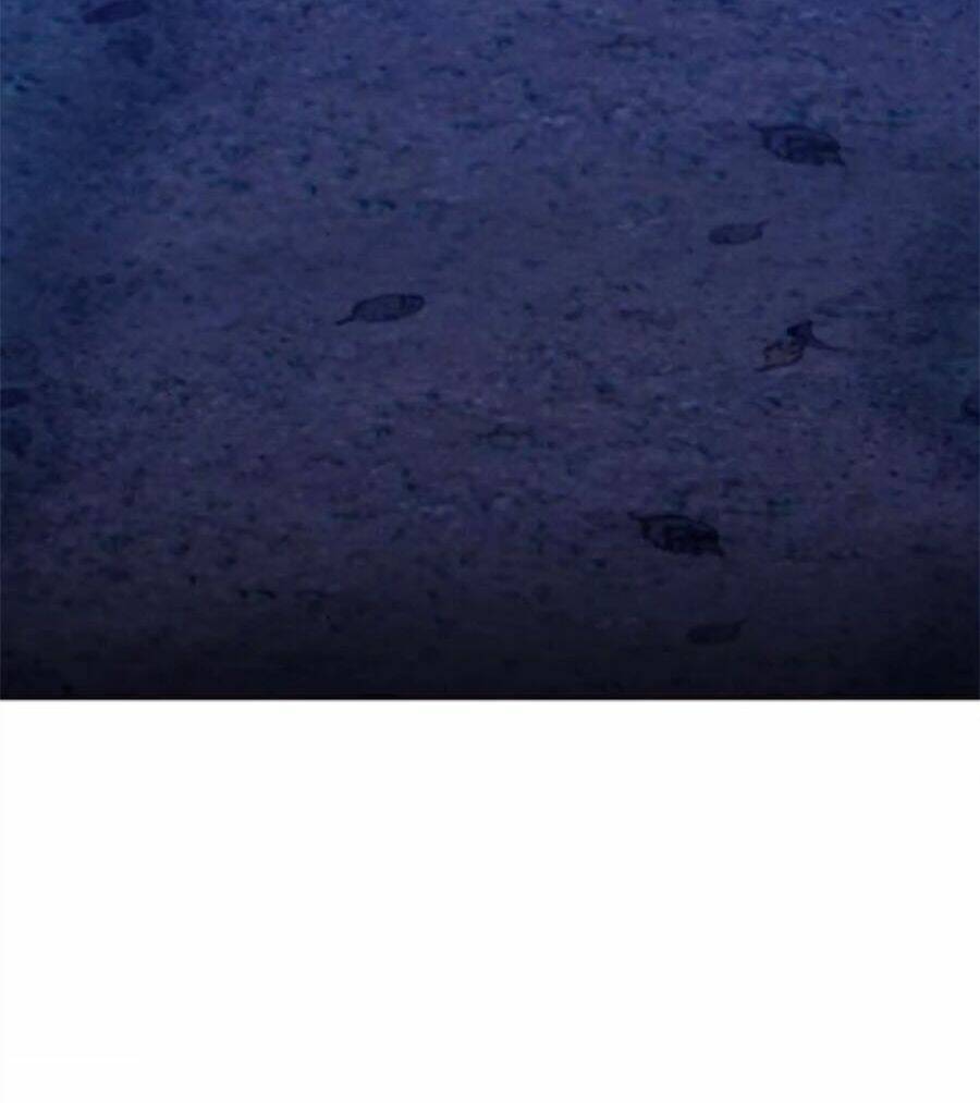 Gậy Gỗ Cấp 99+ Chapter 9 - Trang 2