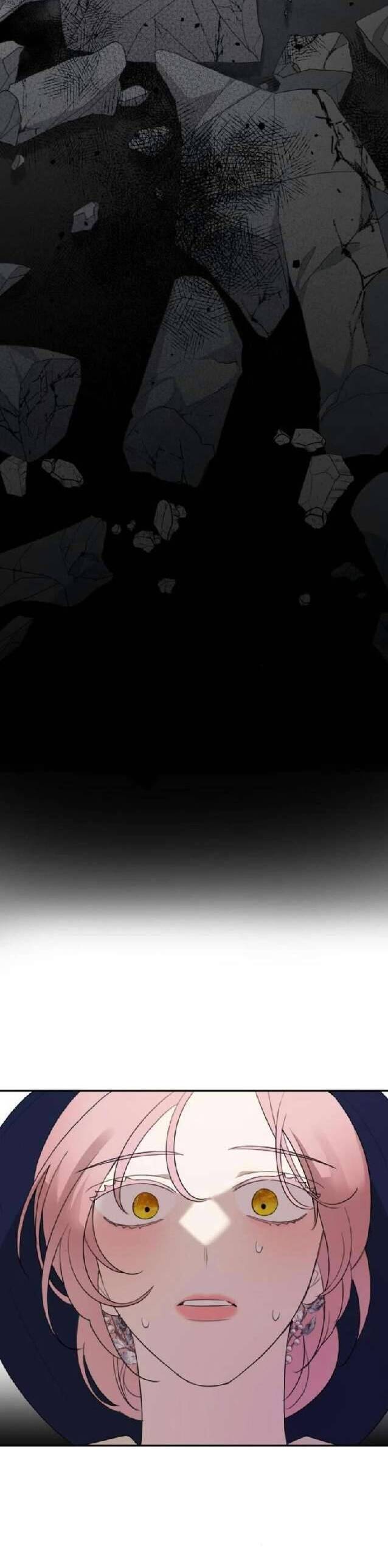 Gia Đình Chồng Quá Ám Ảnh Bởi Tôi Chapter 17 - Trang 2