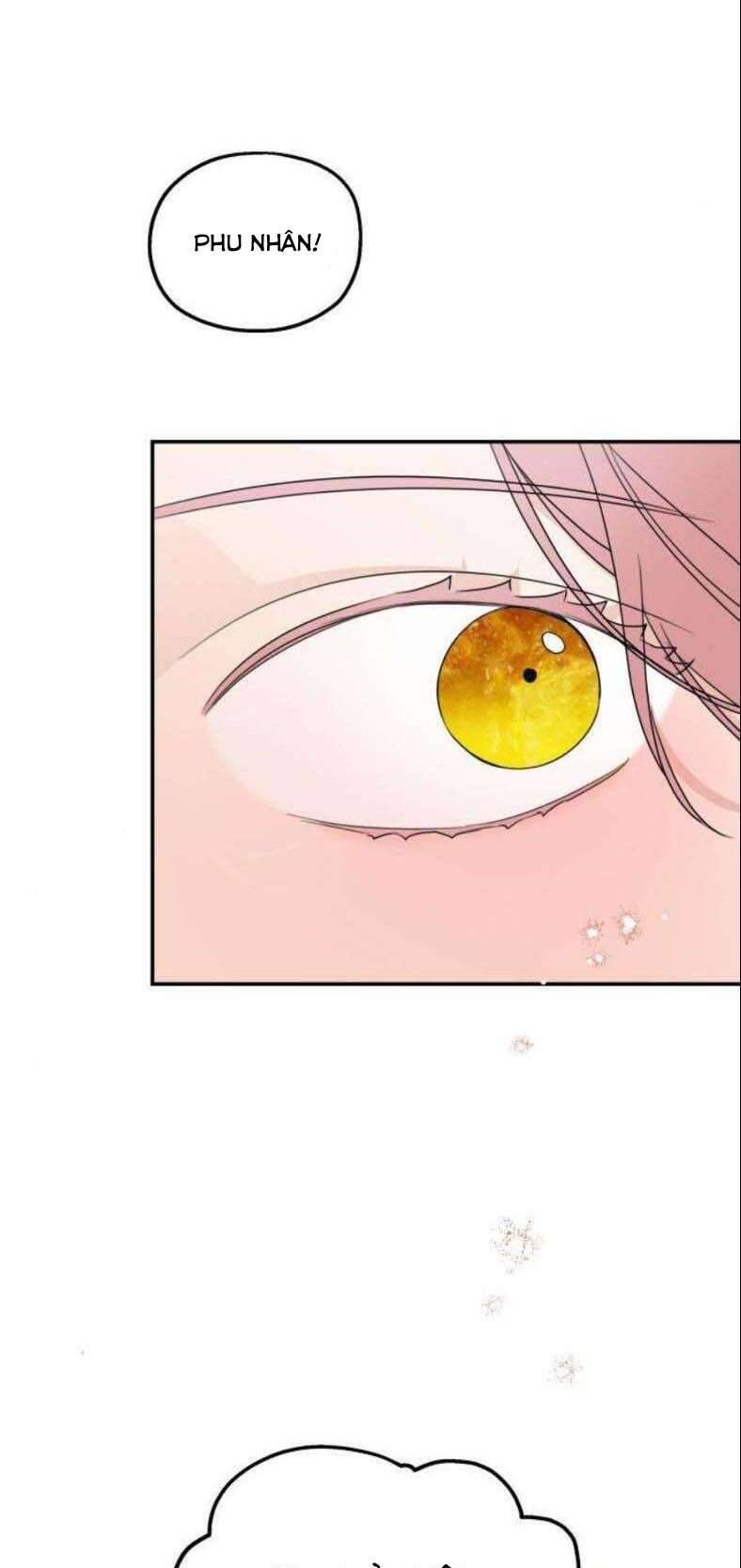 Gia Đình Chồng Quá Ám Ảnh Bởi Tôi Chapter 23 - Trang 2