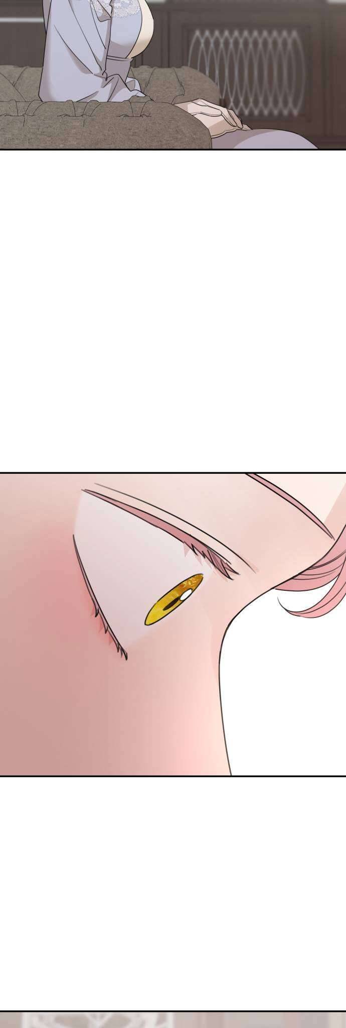 Gia Đình Chồng Quá Ám Ảnh Bởi Tôi Chapter 41 - Trang 2