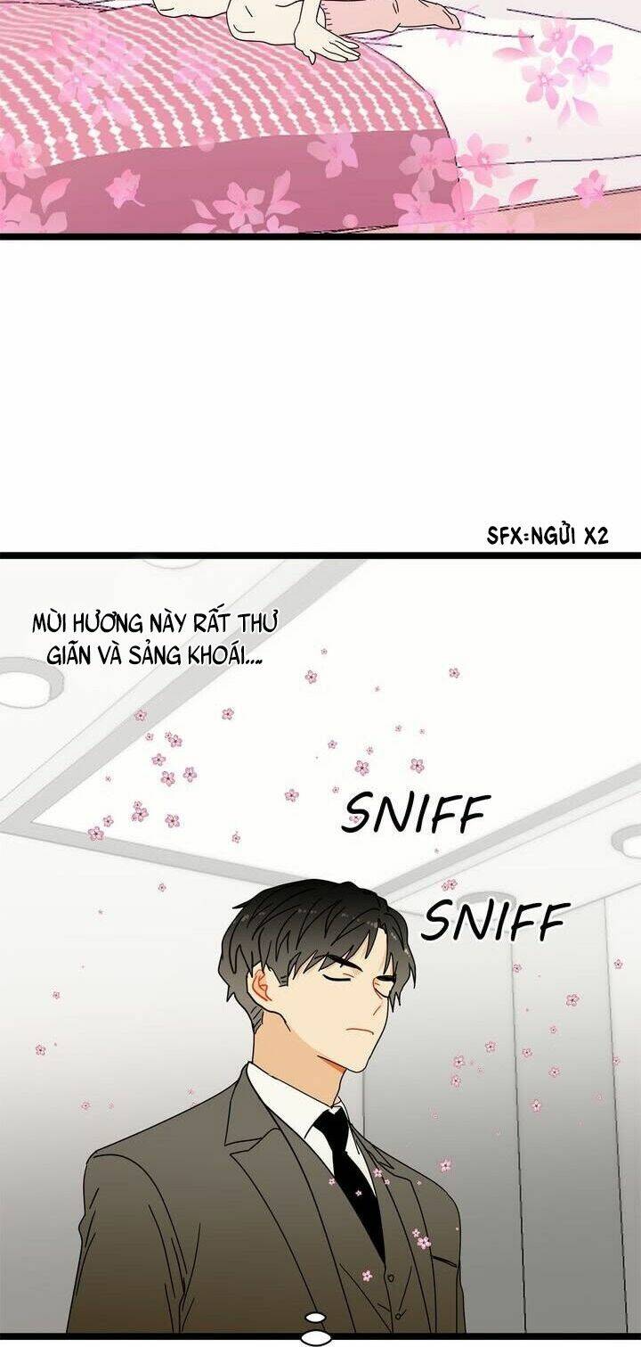 Giả Mạo Theo Phong Cách Chapter 17 - Trang 2