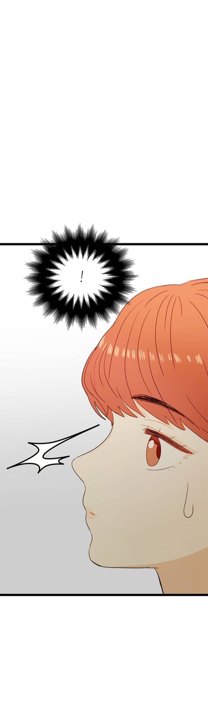 Giả Mạo Theo Phong Cách Chapter 44 - Trang 2