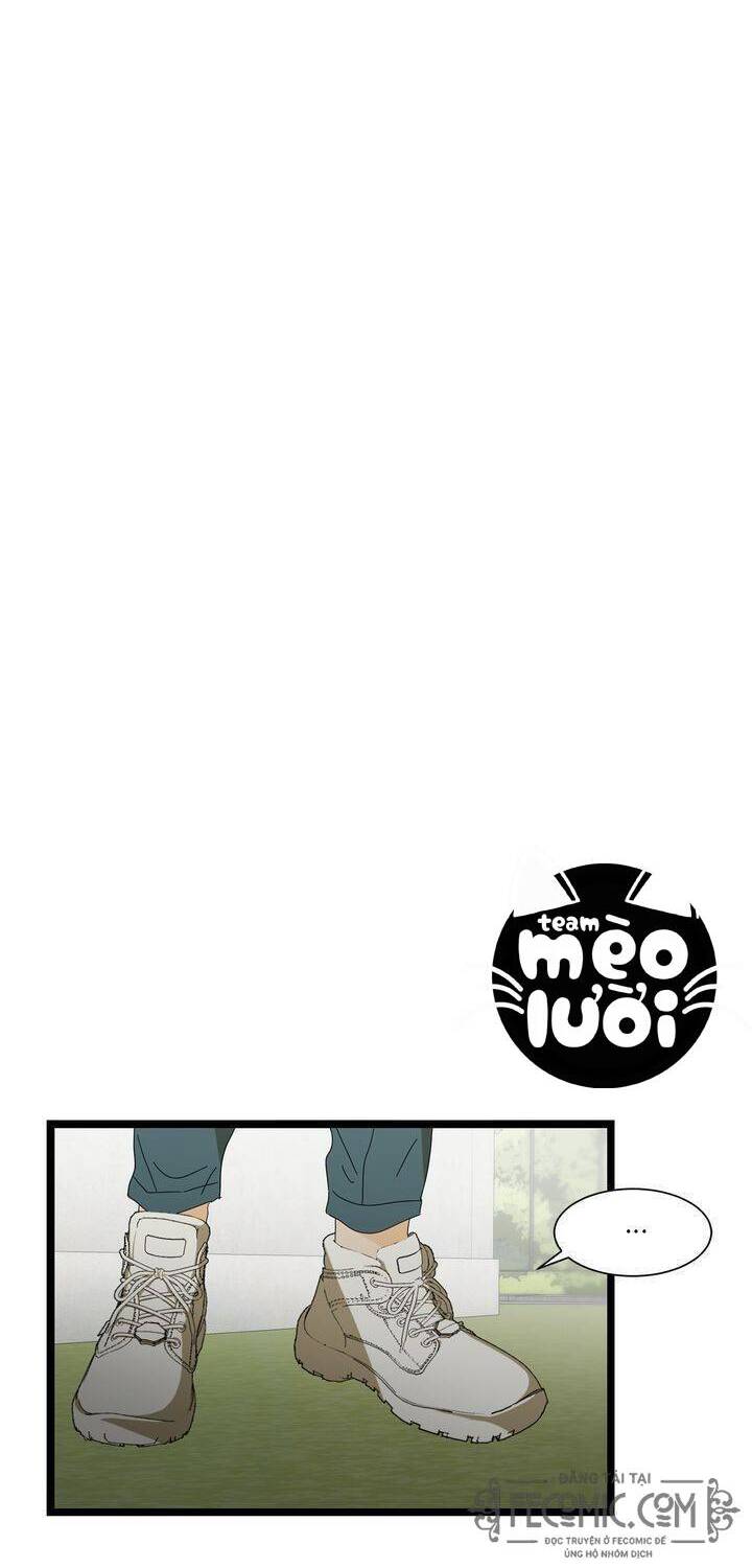 Giả Mạo Theo Phong Cách Chapter 45 - Trang 2