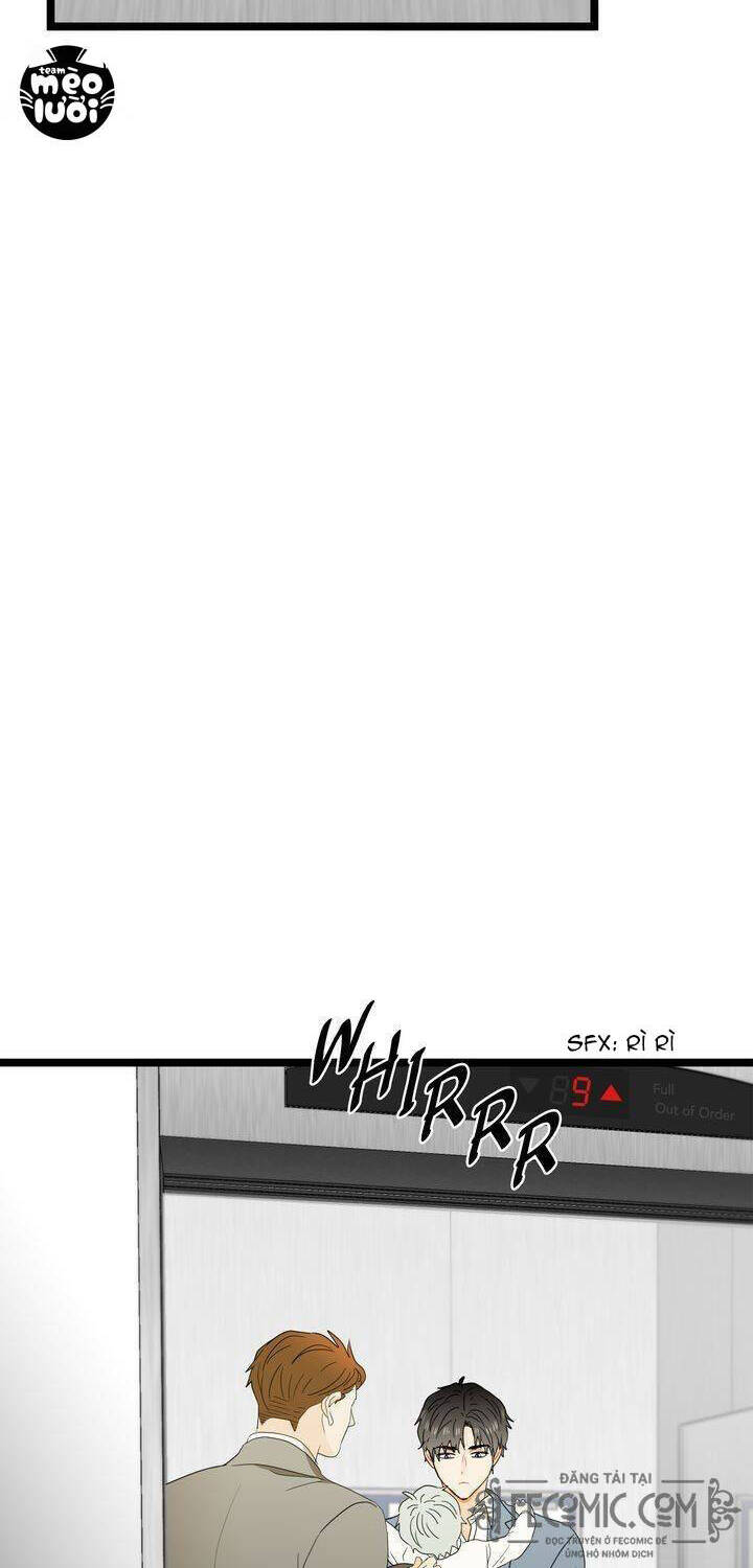 Giả Mạo Theo Phong Cách Chapter 49 - Trang 2