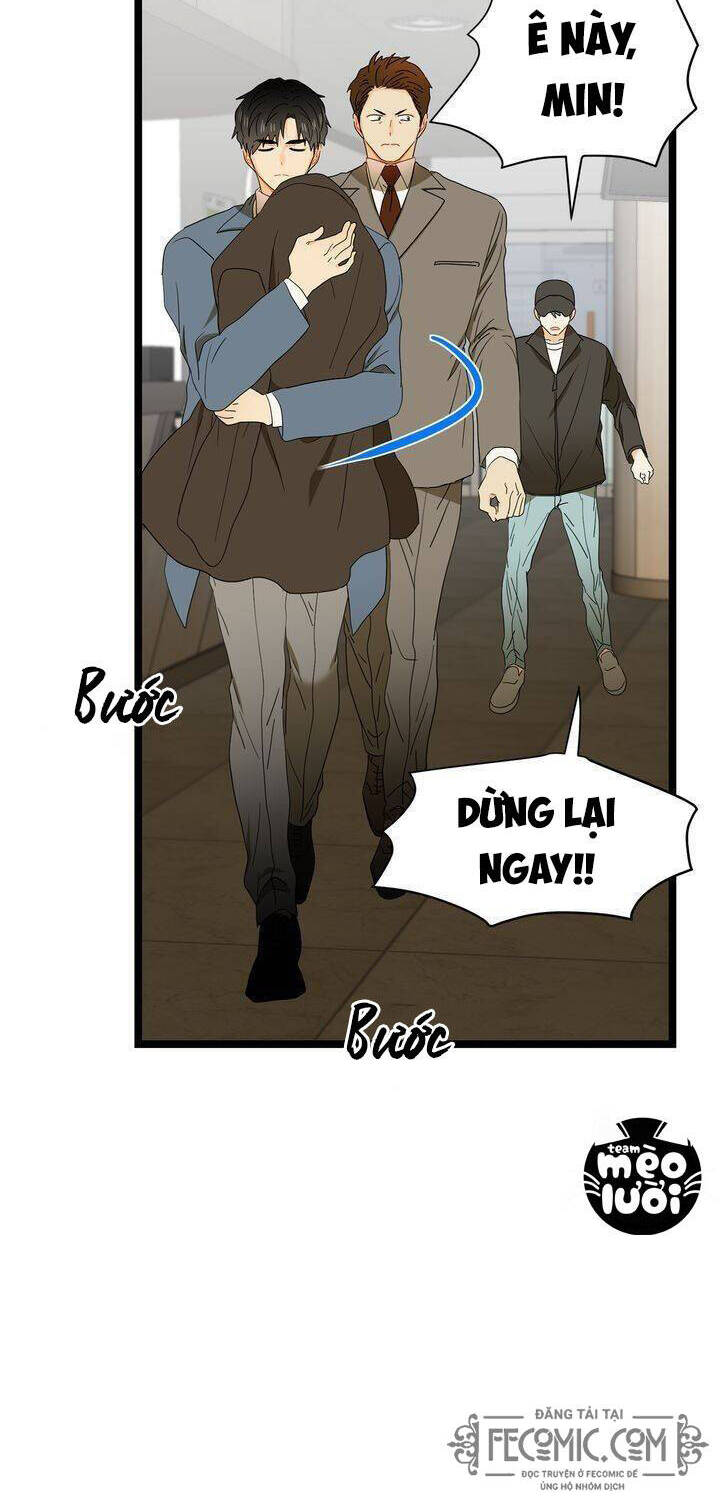 Giả Mạo Theo Phong Cách Chapter 49 - Trang 2