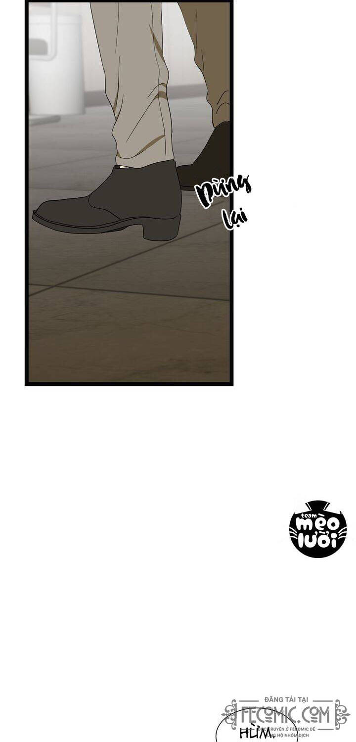 Giả Mạo Theo Phong Cách Chapter 49 - Trang 2