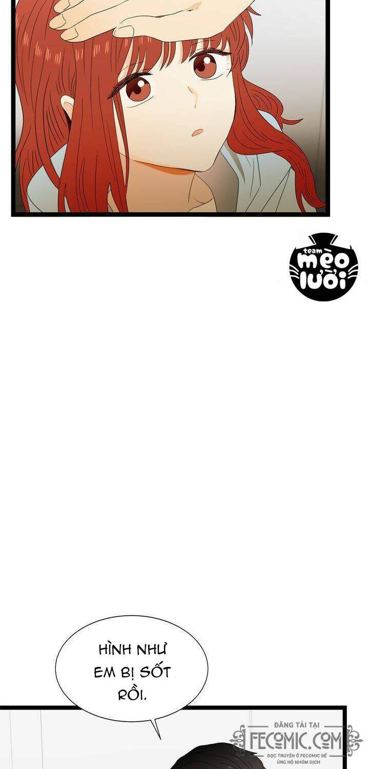 Giả Mạo Theo Phong Cách Chapter 49 - Trang 2