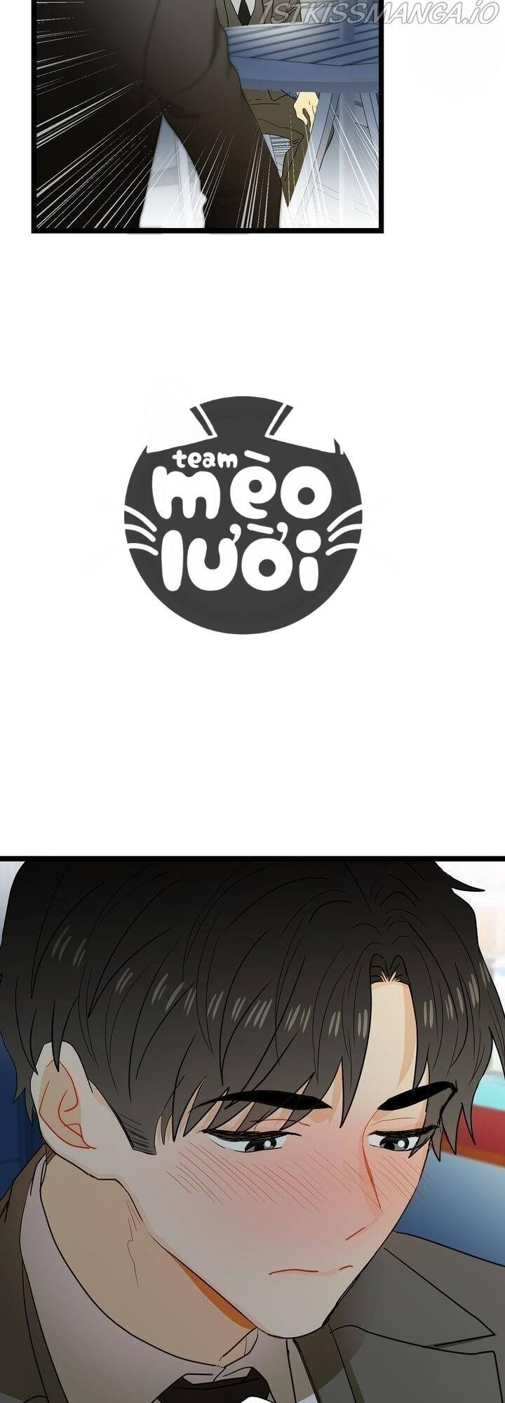 Giả Mạo Theo Phong Cách Chapter 56 - Trang 2