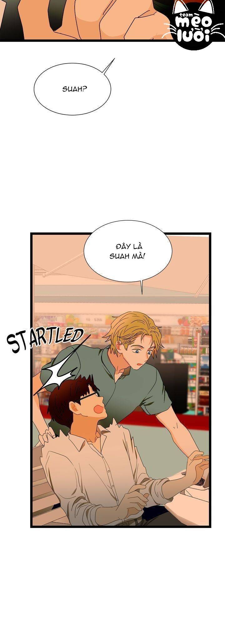 Giả Mạo Theo Phong Cách Chapter 61 - Trang 2