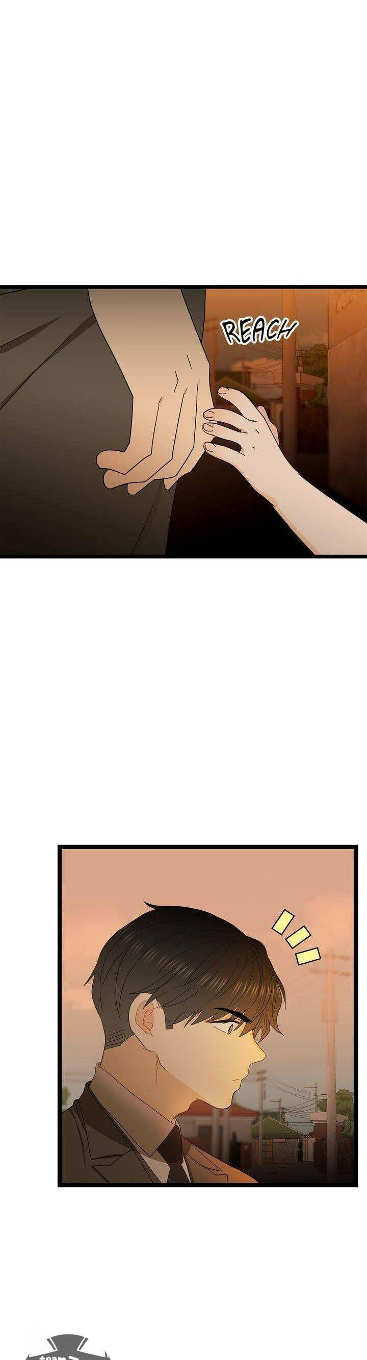 Giả Mạo Theo Phong Cách Chapter 66 - Trang 2