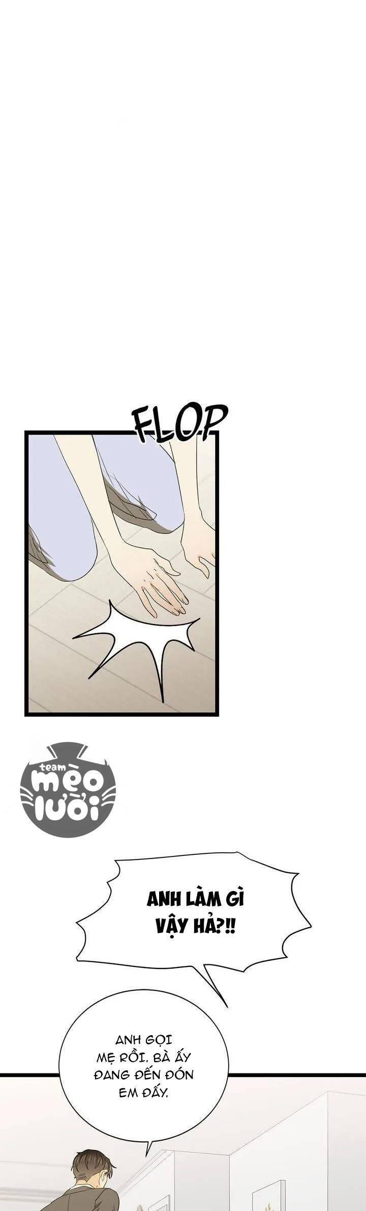 Giả Mạo Theo Phong Cách Chapter 75 - Trang 2