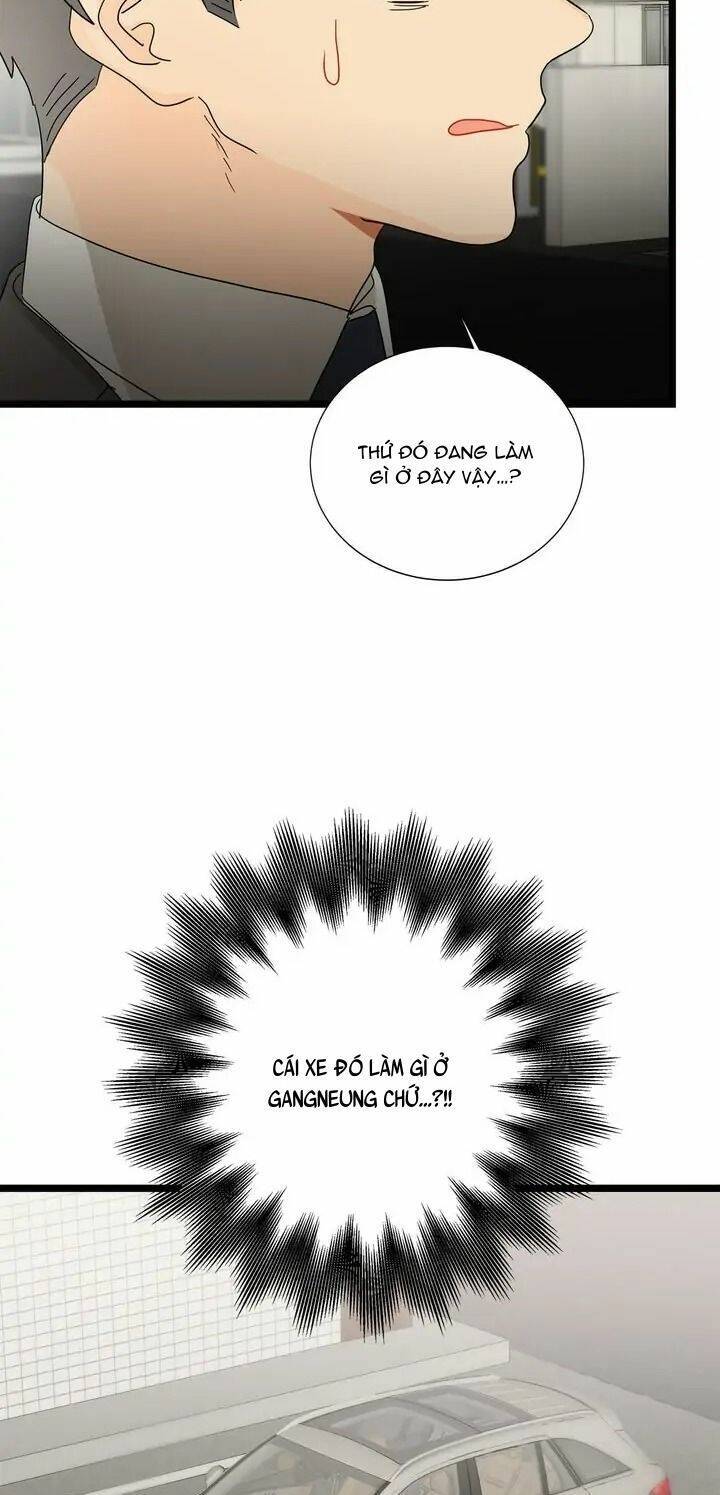 Giả Mạo Theo Phong Cách Chapter 97 - Trang 2