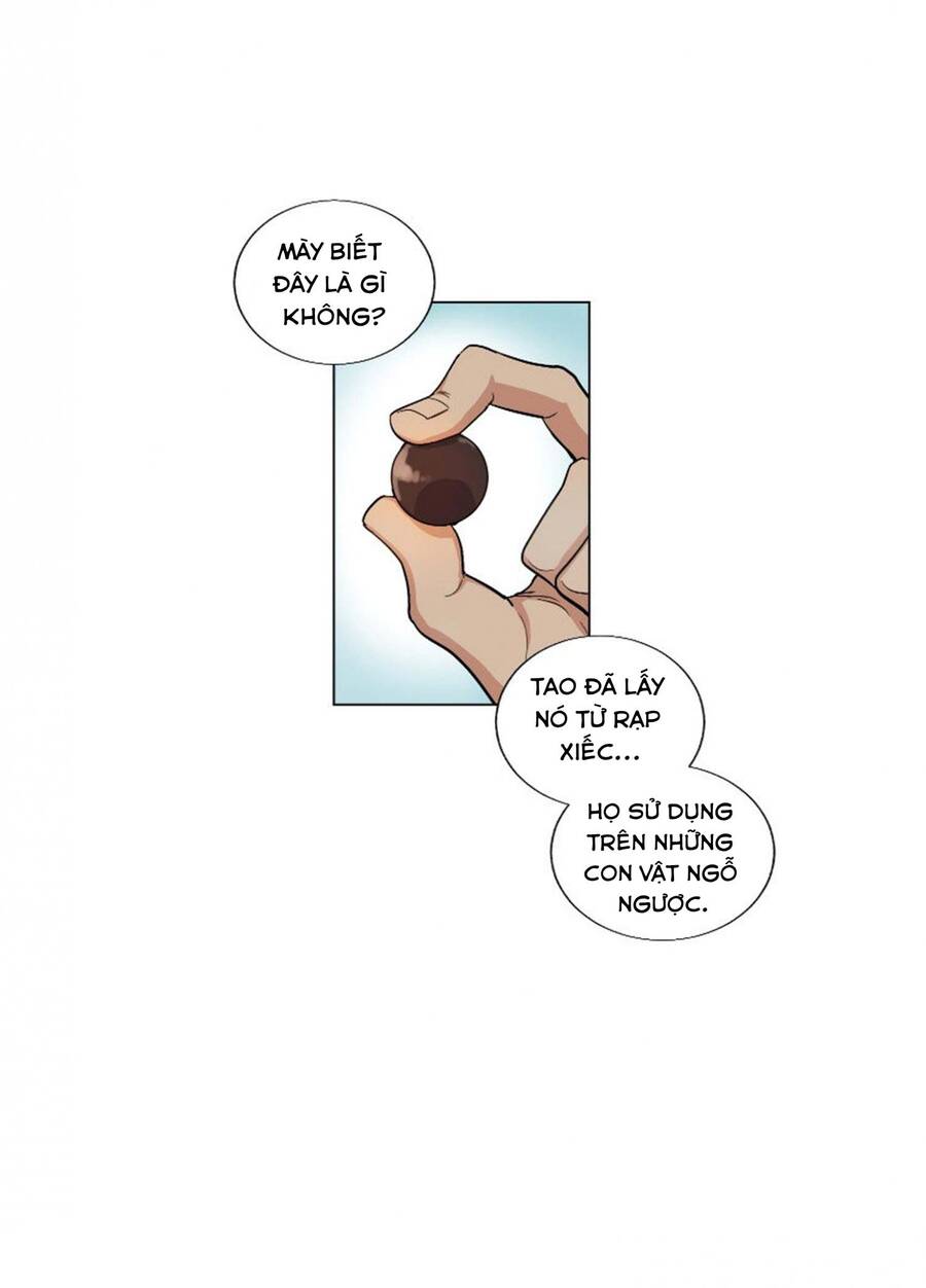 Gia Sư Của Công Tước Chapter 23 - Trang 2