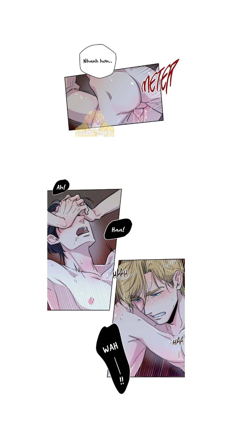 Gia Sư Của Công Tước Chapter 28 - Trang 2