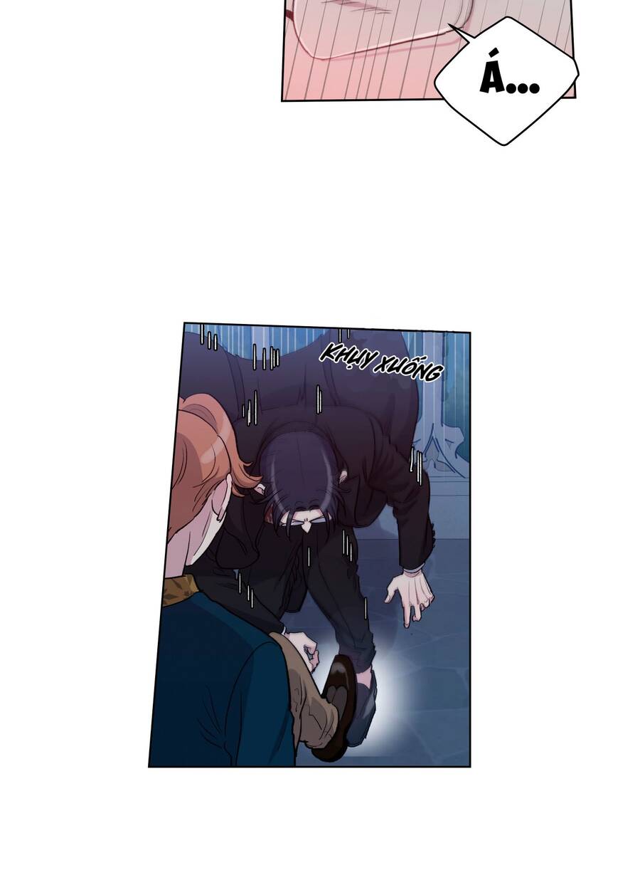 Gia Sư Của Công Tước Chapter 64 - Trang 2