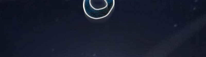 Giả Vờ Làm Kẻ Vô Dụng Ở Học Đường Chapter 77 - Trang 2