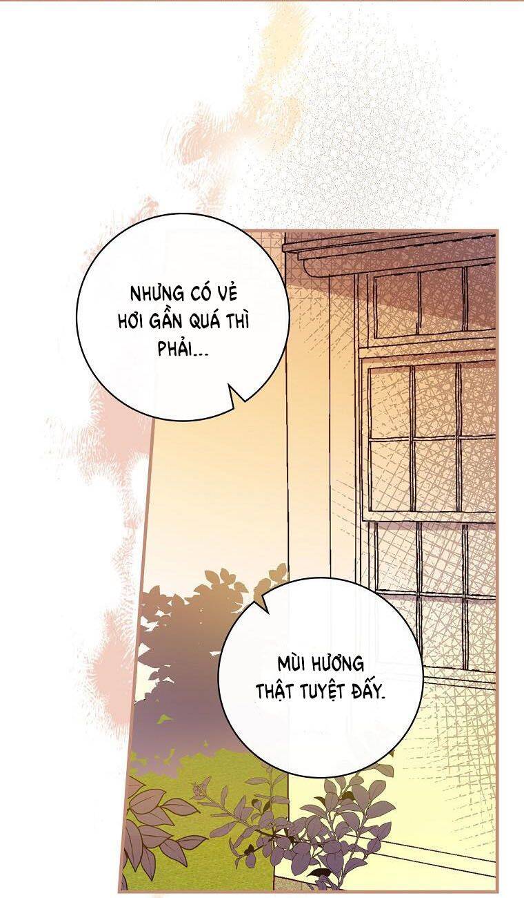 Giai Điệu Của Nhành Cây Khô Héo Chapter 11 - Trang 2