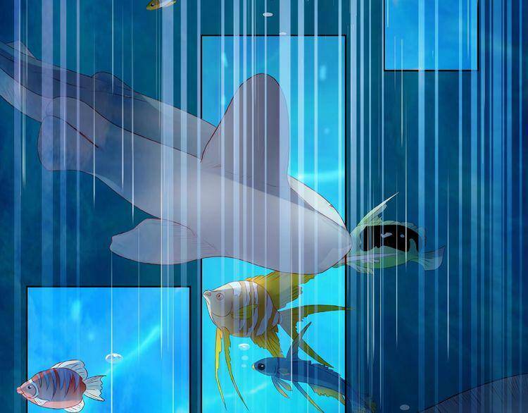 Giai Điệu Của Sự Va Chạm Chapter 4 - Trang 2