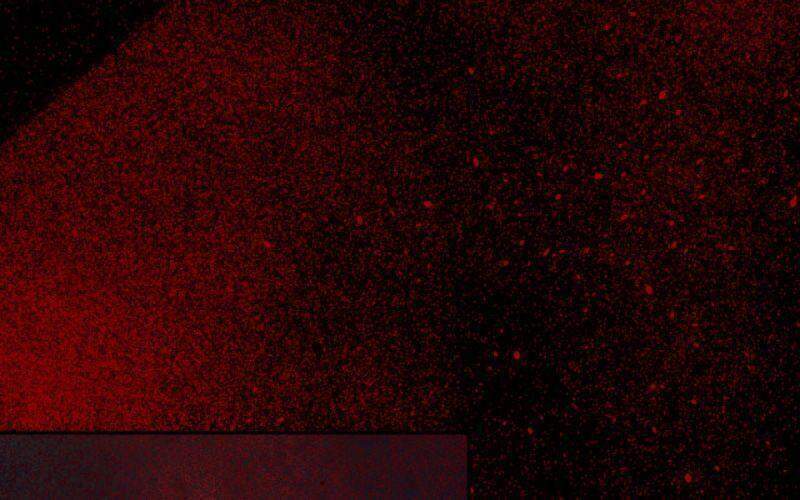 Giản Giới Chapter 146 - Trang 2