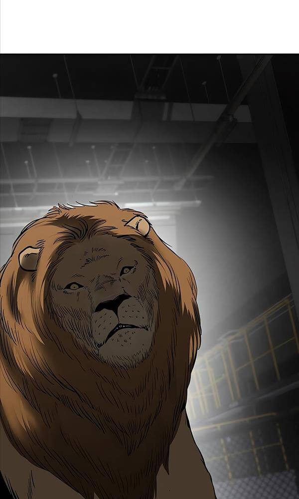 Giang Hồ Thực Thi Công Lý Chapter 57 - Trang 2