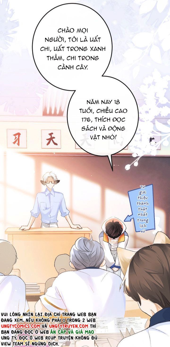 Giáo Bá Cửu Vĩ Hồ Theo Dõi Ta Lúc Sau Chapter 2 - Trang 2