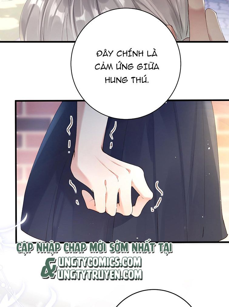 Giáo Bá Cửu Vĩ Hồ Theo Dõi Ta Lúc Sau Chapter 4 - Trang 2