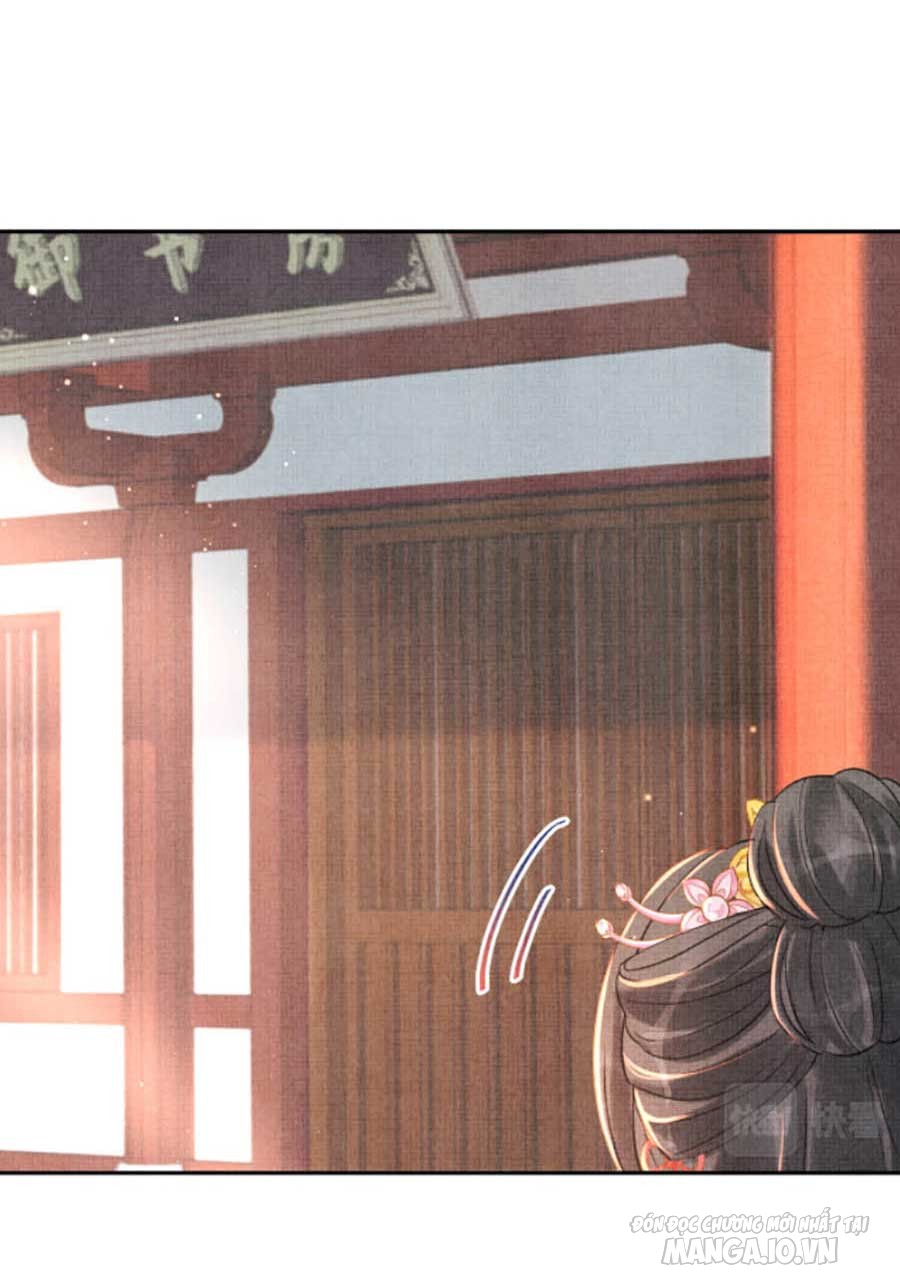 Giao Nhân Tể Tể Ba Tuổi Rồi! Chapter 8 - Trang 2