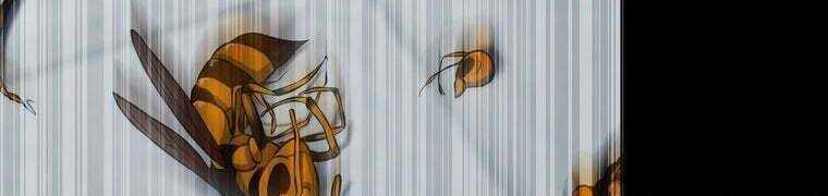 Giáo Viên Ác Quỷ Saiko Chapter 28 - Trang 2