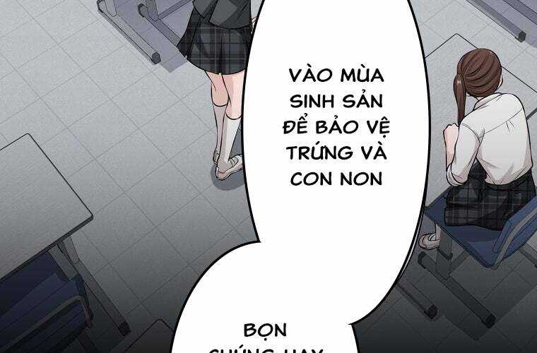 Giáo Viên Ác Quỷ Saiko Chapter 30 - Trang 2
